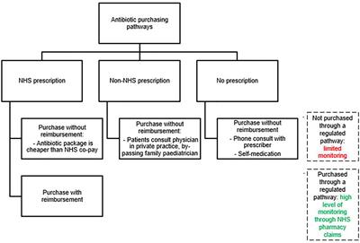 Traceability of Pediatric Antibiotic Purchasing Pathways in Italy: A Nationwide Real-World Drug Utilization Analysis